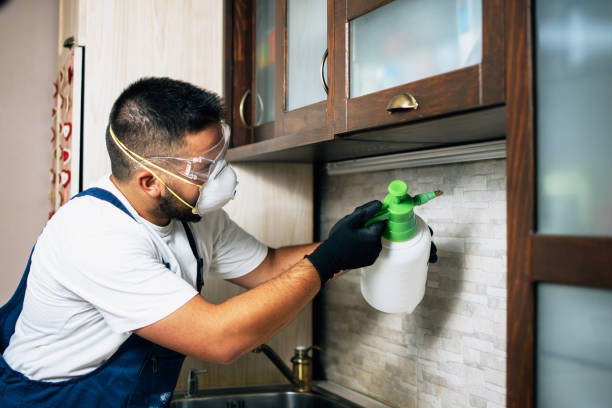 Best Local Pest Control Services  in St Francisville, LA