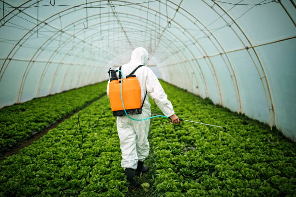 Best Pest Control for Businesses  in St Francisville, LA