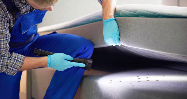 Professional Pest Control in St Francisville, LA