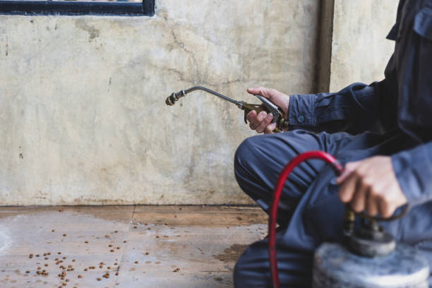 Best Emergency Pest Control  in St Francisville, LA
