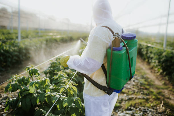 Pest Prevention Services in St Francisville, LA